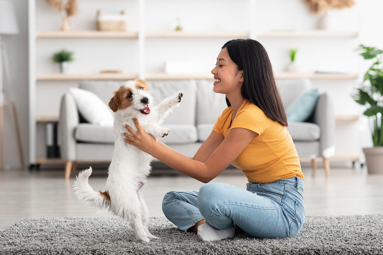 Boldog lány egy kutyával egy kisebb nappaliban