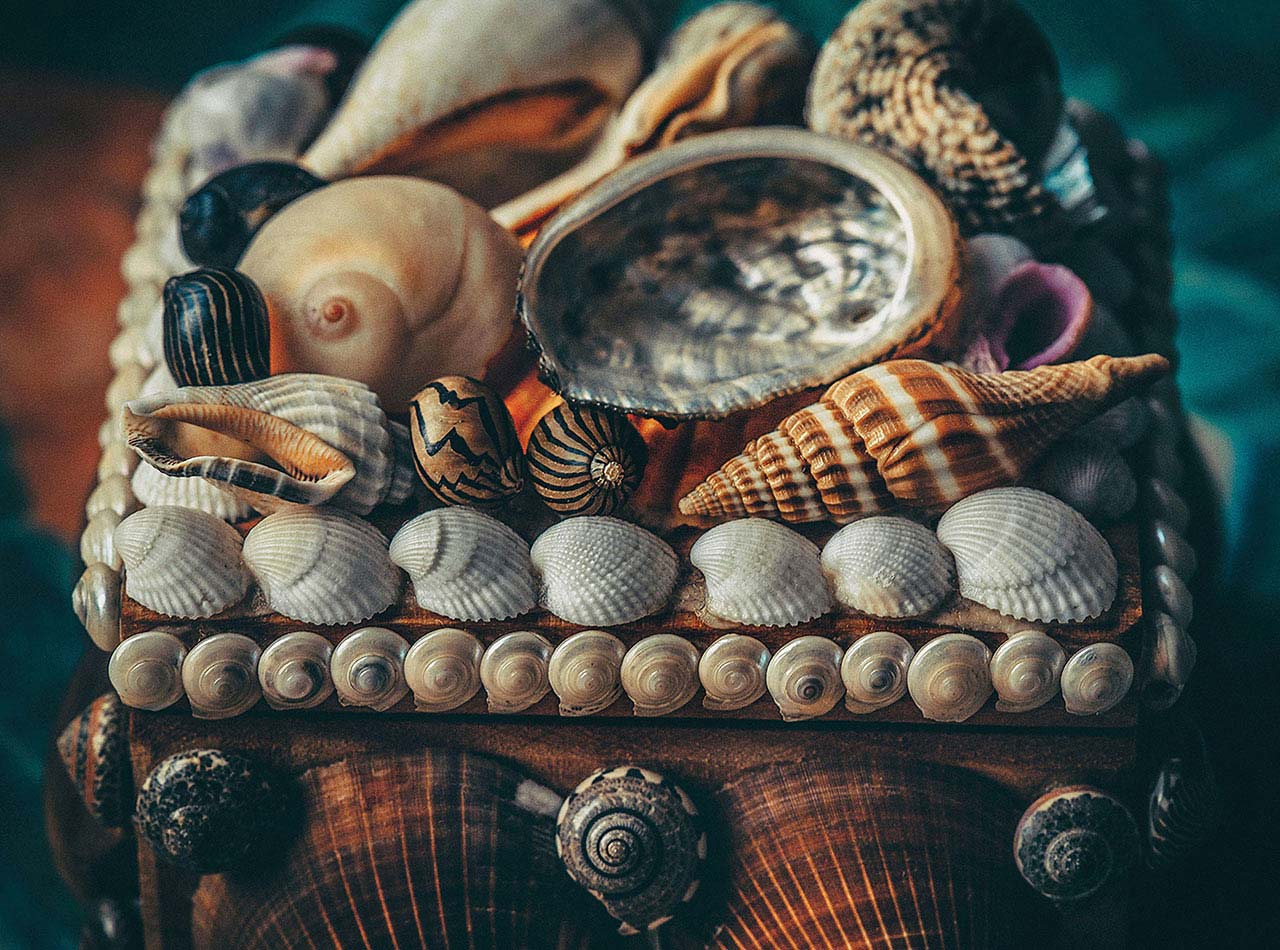 Különböző formájú kagylók szépítik a tükörkeretet és a bútorokat